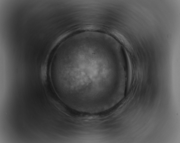 X0000093150484200710031430