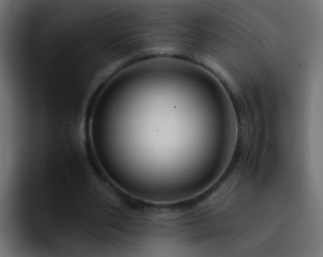 X0000093150486200710031430