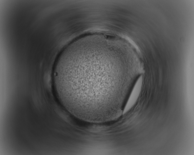 X0000093150487200710031430