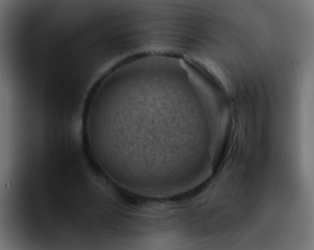 X0000093150488200710031430