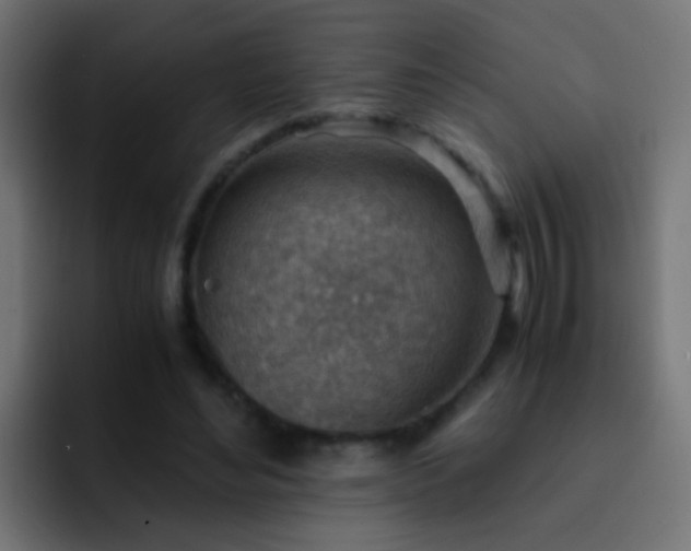 X0000093150492200710031430