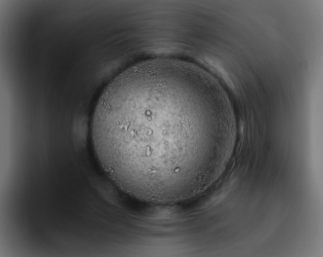 X0000093150495200710031430