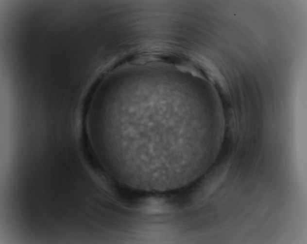 X0000093150496200710031430