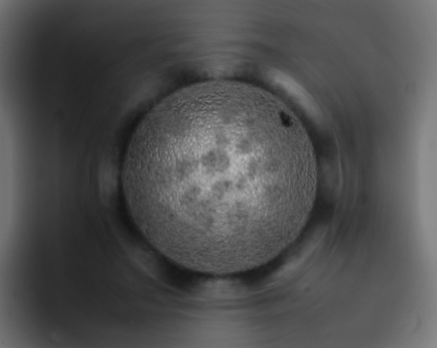 X0000093150499200710031430