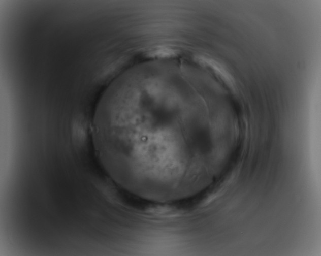 X0000093150503200710031430