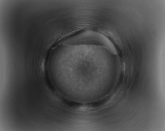 X0000093150504200710031430