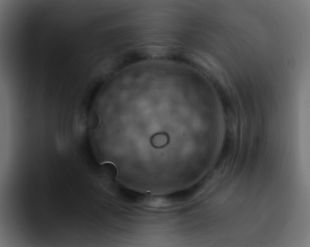 X0000093150507200710031430