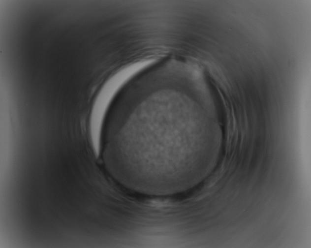 X0000093150508200710031430