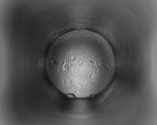 X0000093150511200710031430