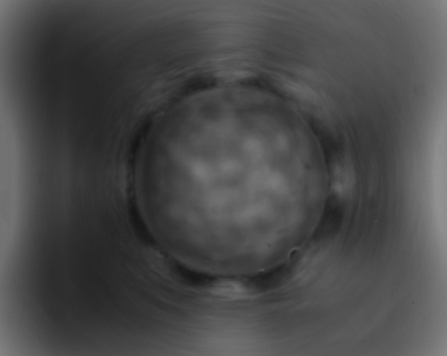 X0000093150519200710031430