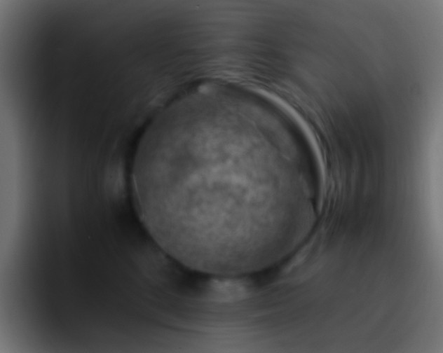 X0000093150520200710031430