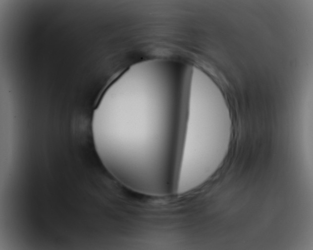 X0000093150521200710031430