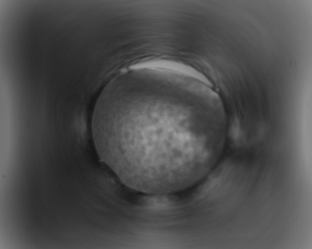 X0000093150524200710031430