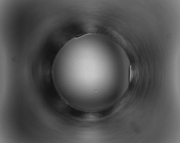 X0000093150525200710031430