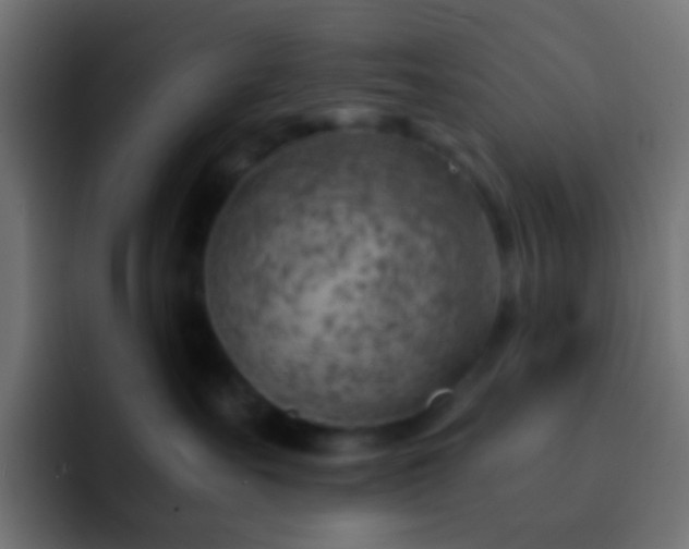 X0000093150527200710031430
