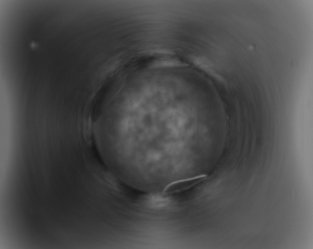 X0000093150528200710031430