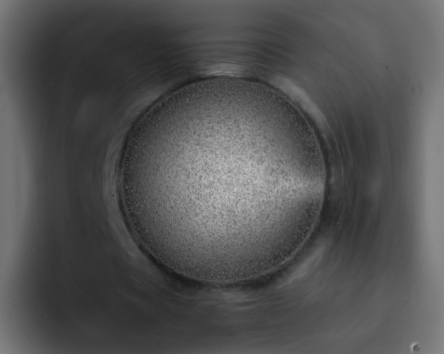 X0000093150529200710031429