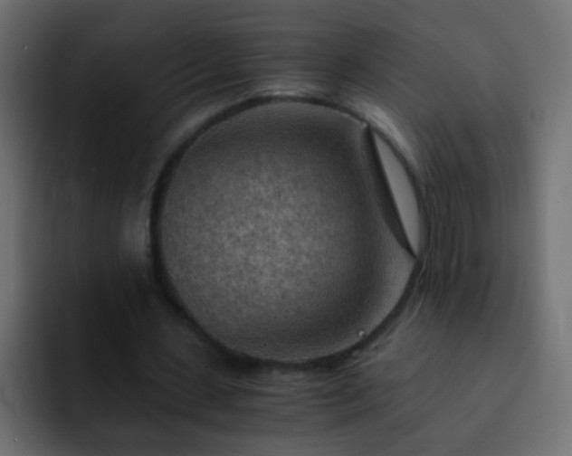 X0000093150531200710031429