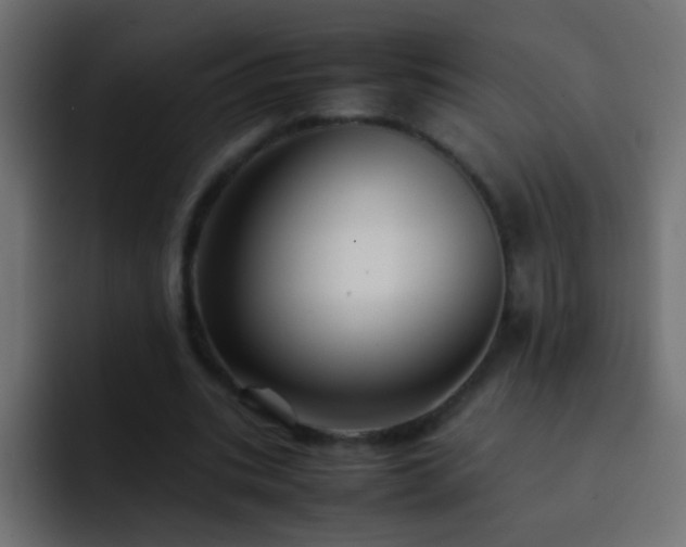 X0000093150535200710031429