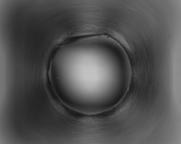 X0000093150538200710031429