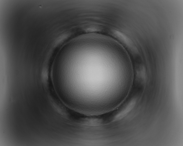 X0000093150539200710031429