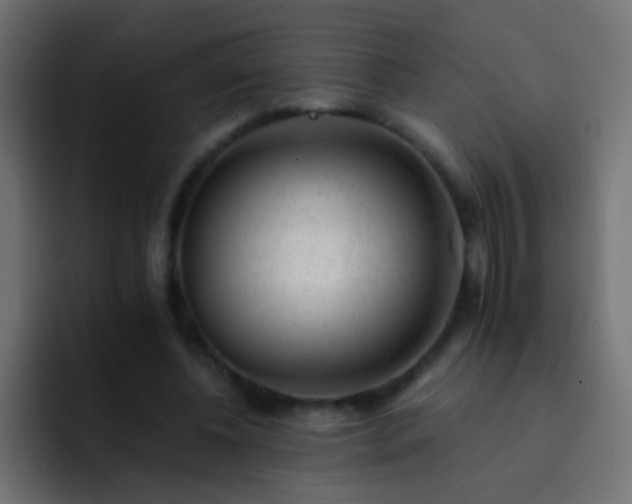 X0000093150540200710031429