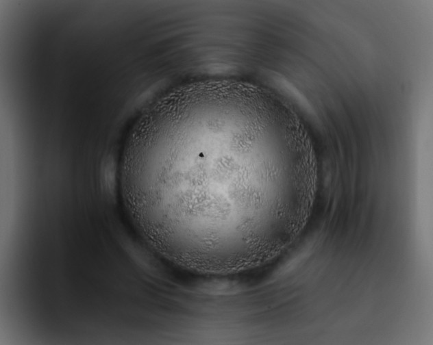 X0000093150542200710031429