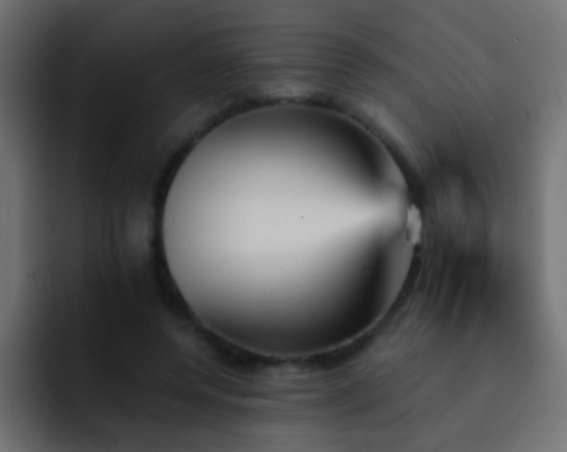 X0000093150544200710031429