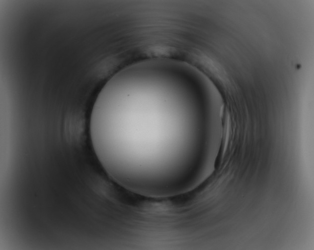 X0000093150548200710031430