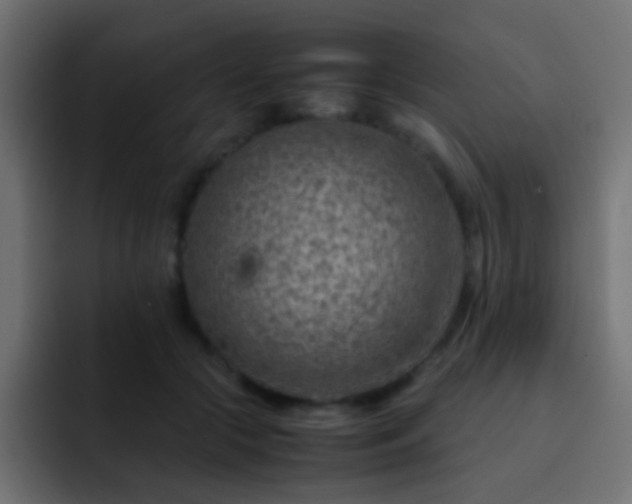 X0000093150553200710031430