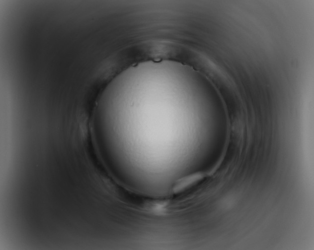 X0000093150554200710031430