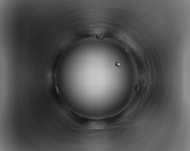 X0000093150556200710031430