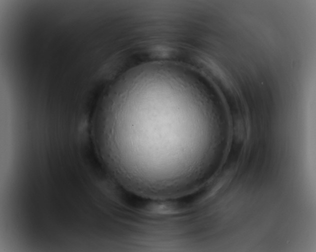 X0000093150557200710031430