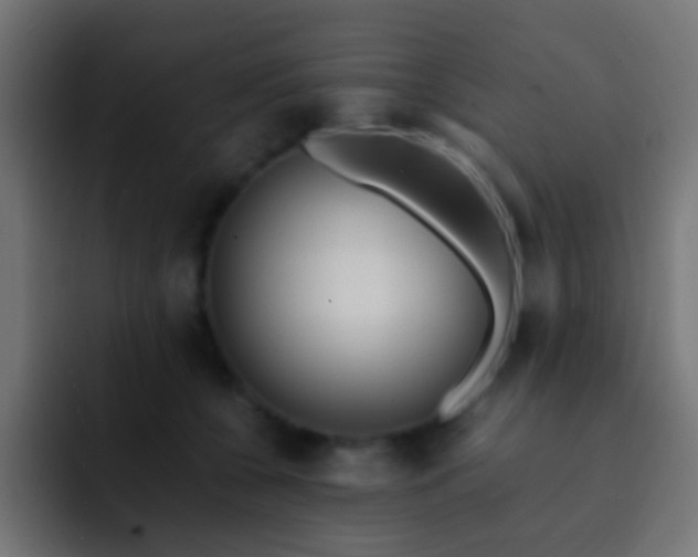 X0000093150560200710031430