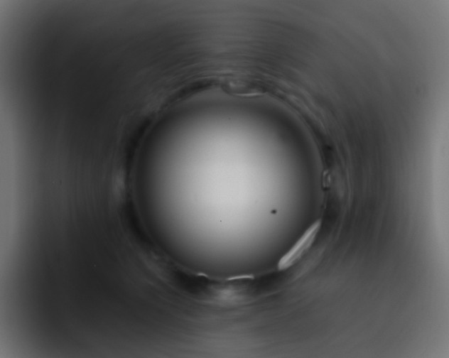 X0000093150564200710031430