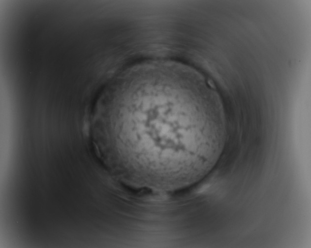 X0000093150576200710031430