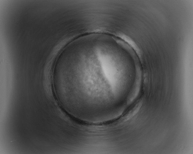 X0000093150577200710031429