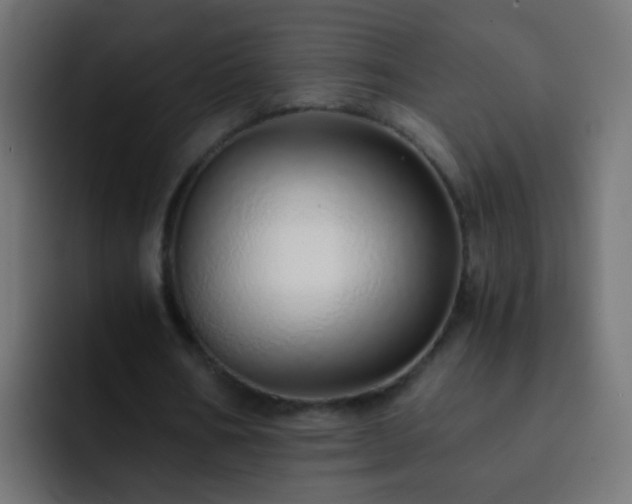 X0000093150578200710031429