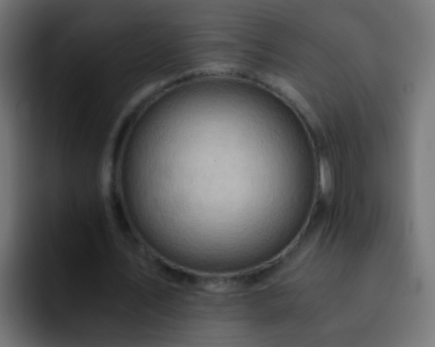 X0000093150579200710031429