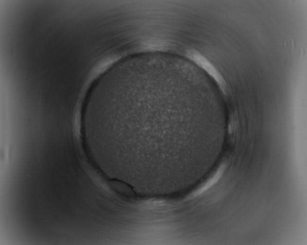 X0000093150581200710031429