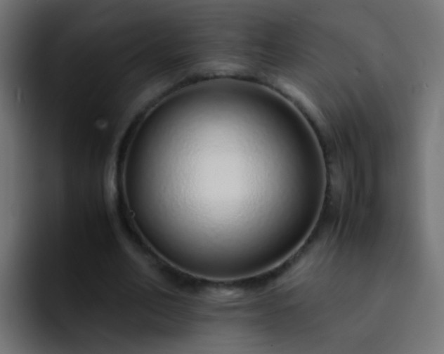 X0000093150582200710031429