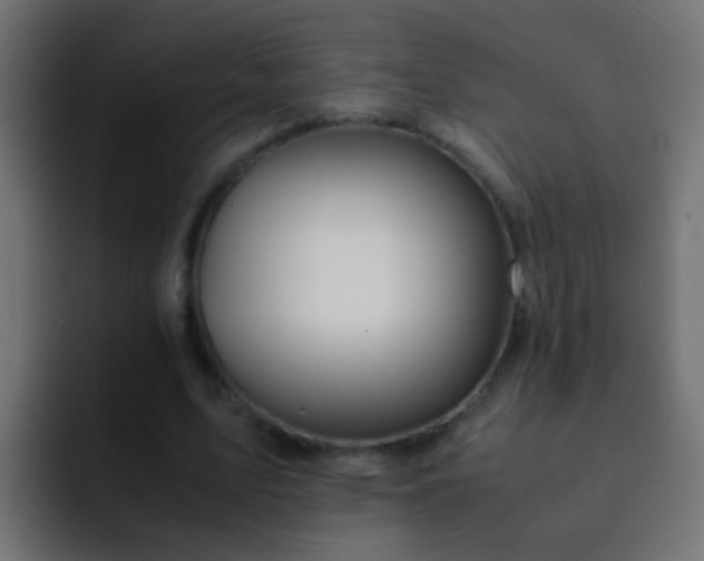 X0000093150583200710031429