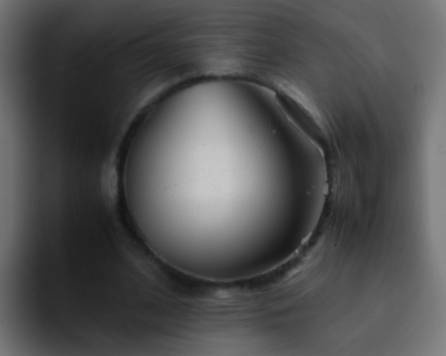 X0000093150584200710031429
