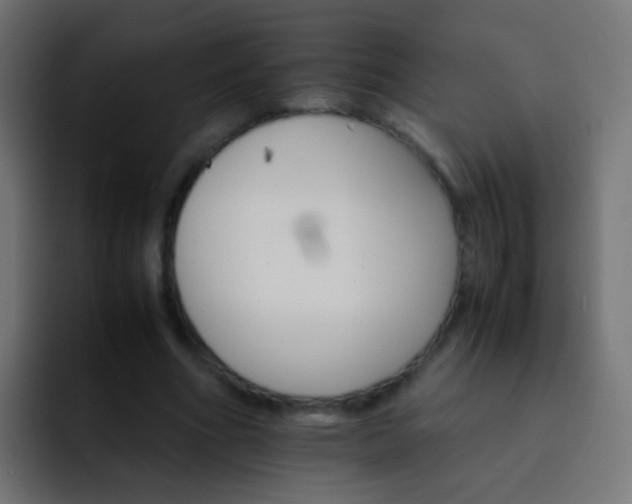 X0000093150586200710031429