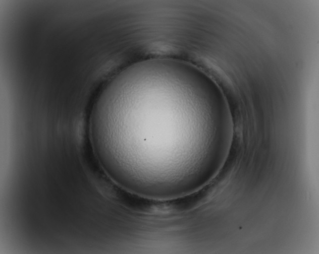 X0000093150591200710031429