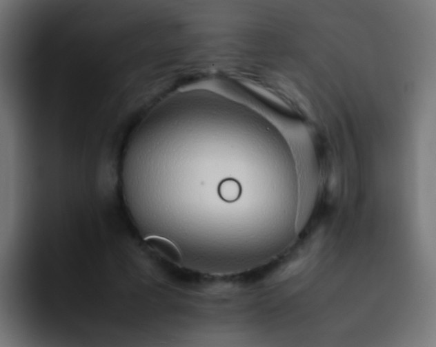 X0000093150593200710031429