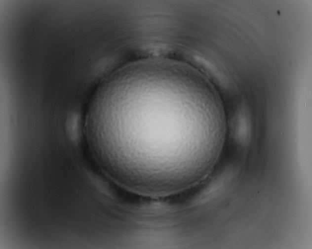 X0000093150594200710031429