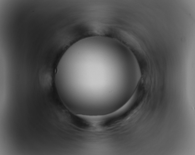 X0000093150595200710031429