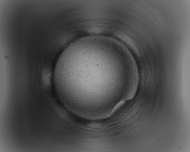 X0000093150596200710031429