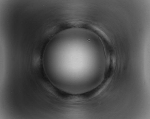 X0000093150597200710031429